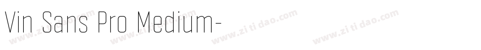 Vin Sans Pro Medium字体转换